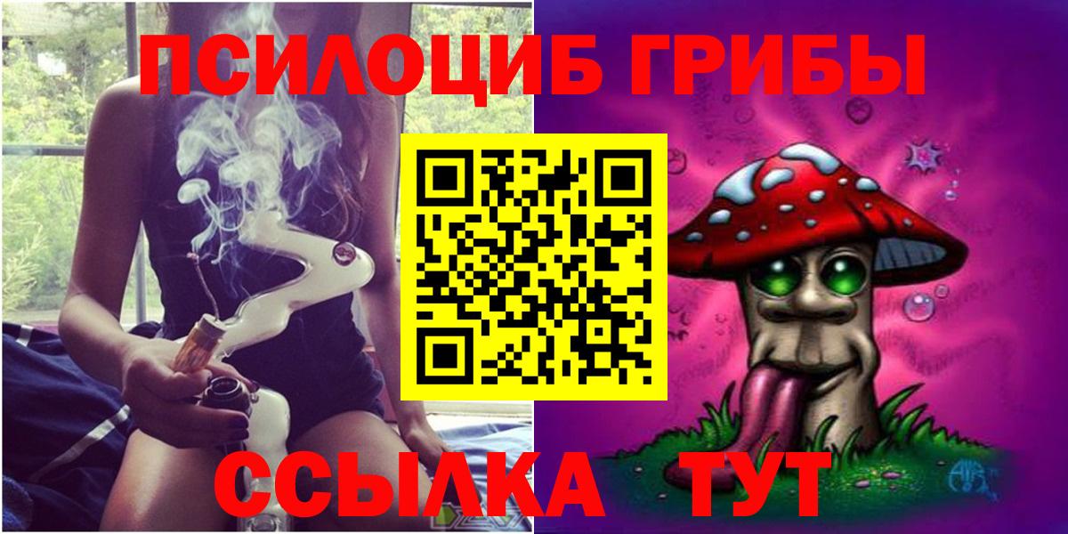 Щёлково  Галлюциногенные грибы Psilocybe  Вход с VPN 